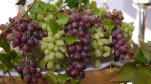 Vynuogės: nauda sveikatai, maistinės savybės bei skanūs receptai