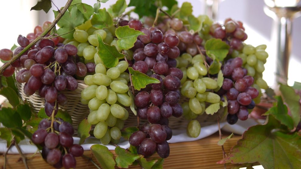 Vynuogės: nauda sveikatai, maistinės savybės bei skanūs receptai